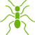 Guaranteed Fire Ant Treatment Solutions in Chattanooga, Tennessee